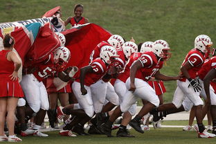 华体会体育官方-全国青少年马拉松赛南京站热力开启,2021南京马拉松赛